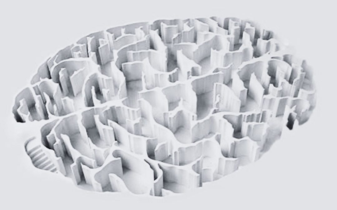 Neuro-architecture : mode ou réalité scientifique?
