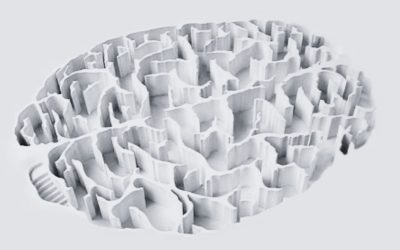 Neuro-architecture : mode ou réalité scientifique?